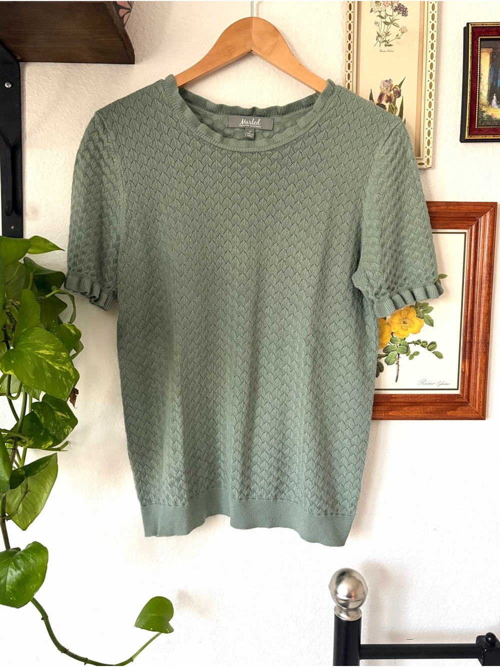 Pointelle Knit Sage Green Short Sleeve Top with Ruffle Cuffs Medium